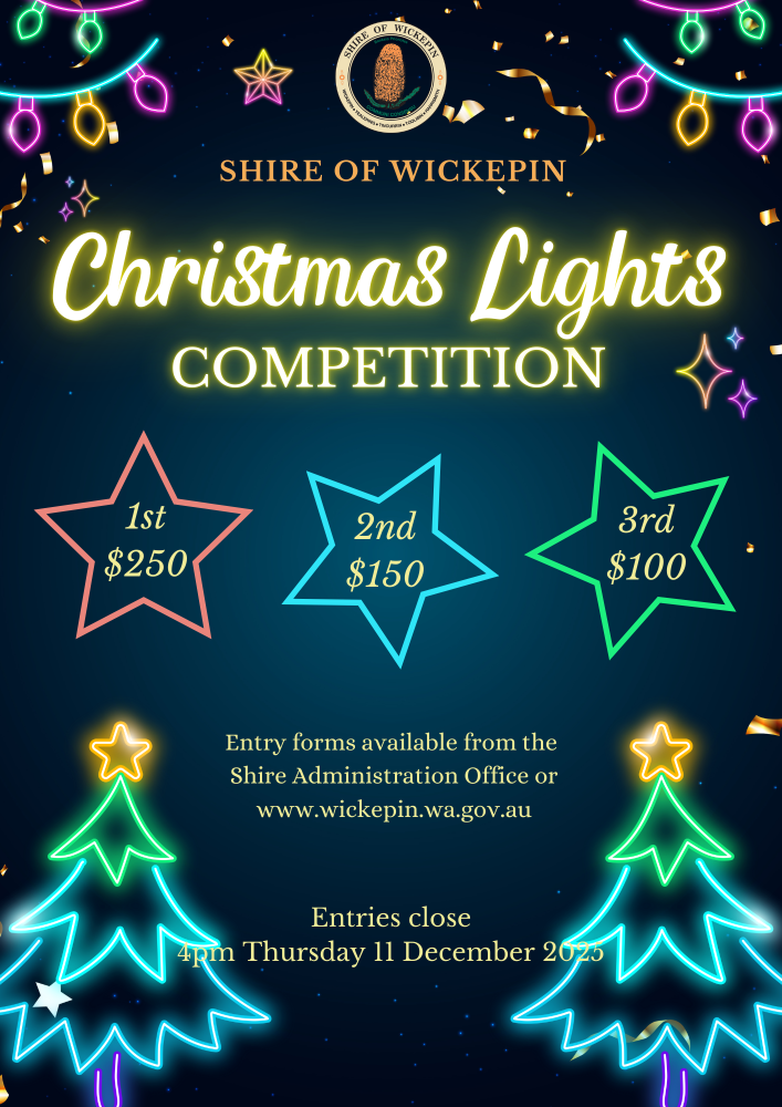 Christmas Lights Competition 2025